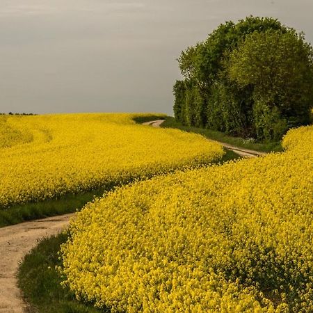 Eco Gite Argonne, Gite Insolite Lisle-en-Barrois 외부 사진